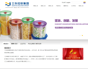 臺州網(wǎng)站建設(shè)|臺州網(wǎng)站制作|高端網(wǎng)站設(shè)計【臺州盈世網(wǎng)絡(luò)】